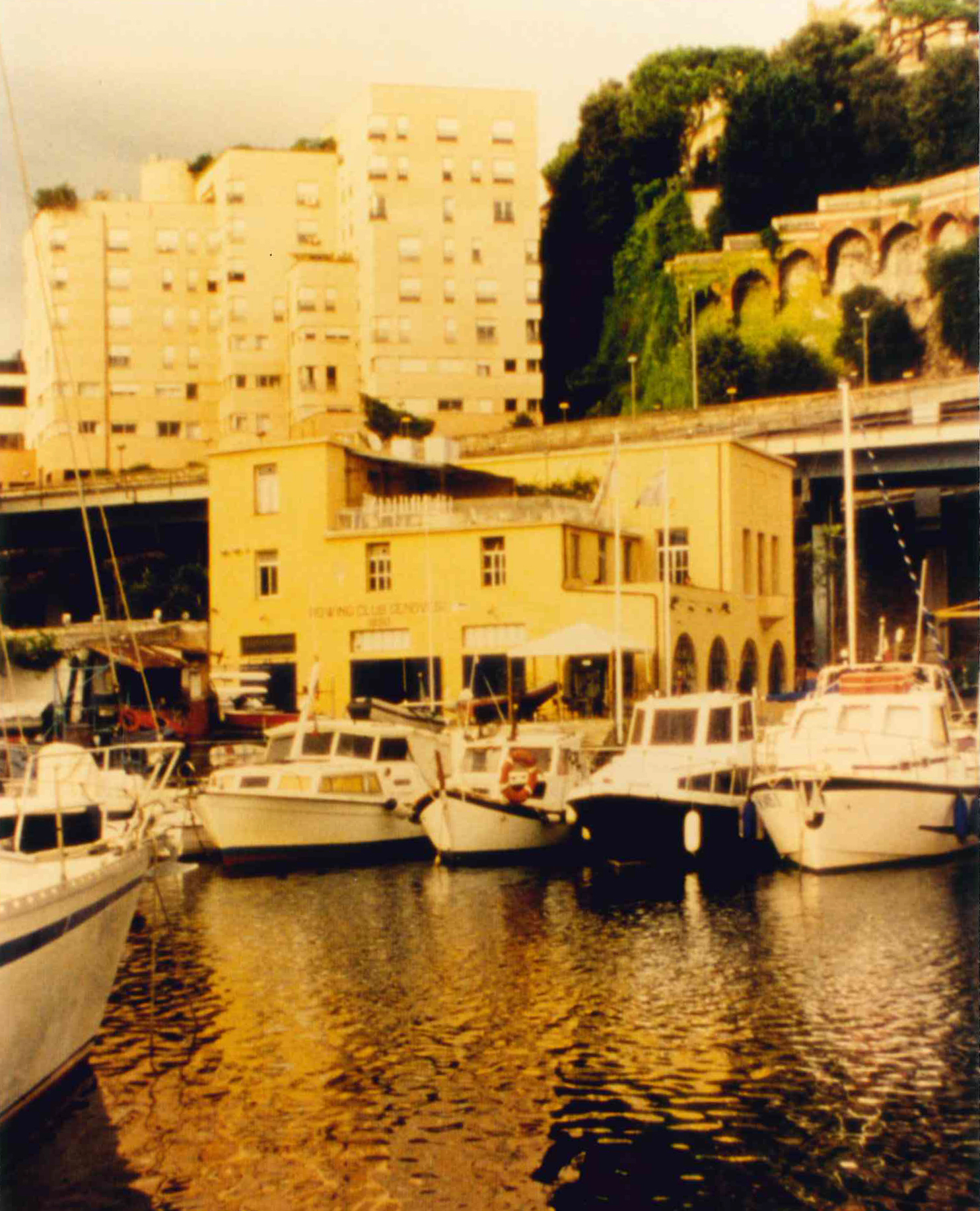 Sede Rowing Club