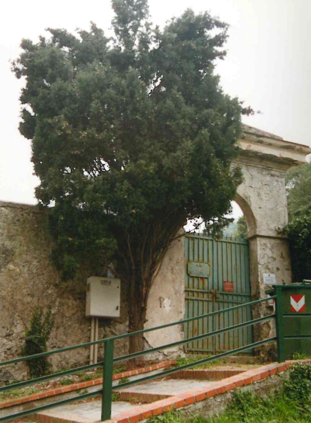 cimitero di S.Carlo di Cese
