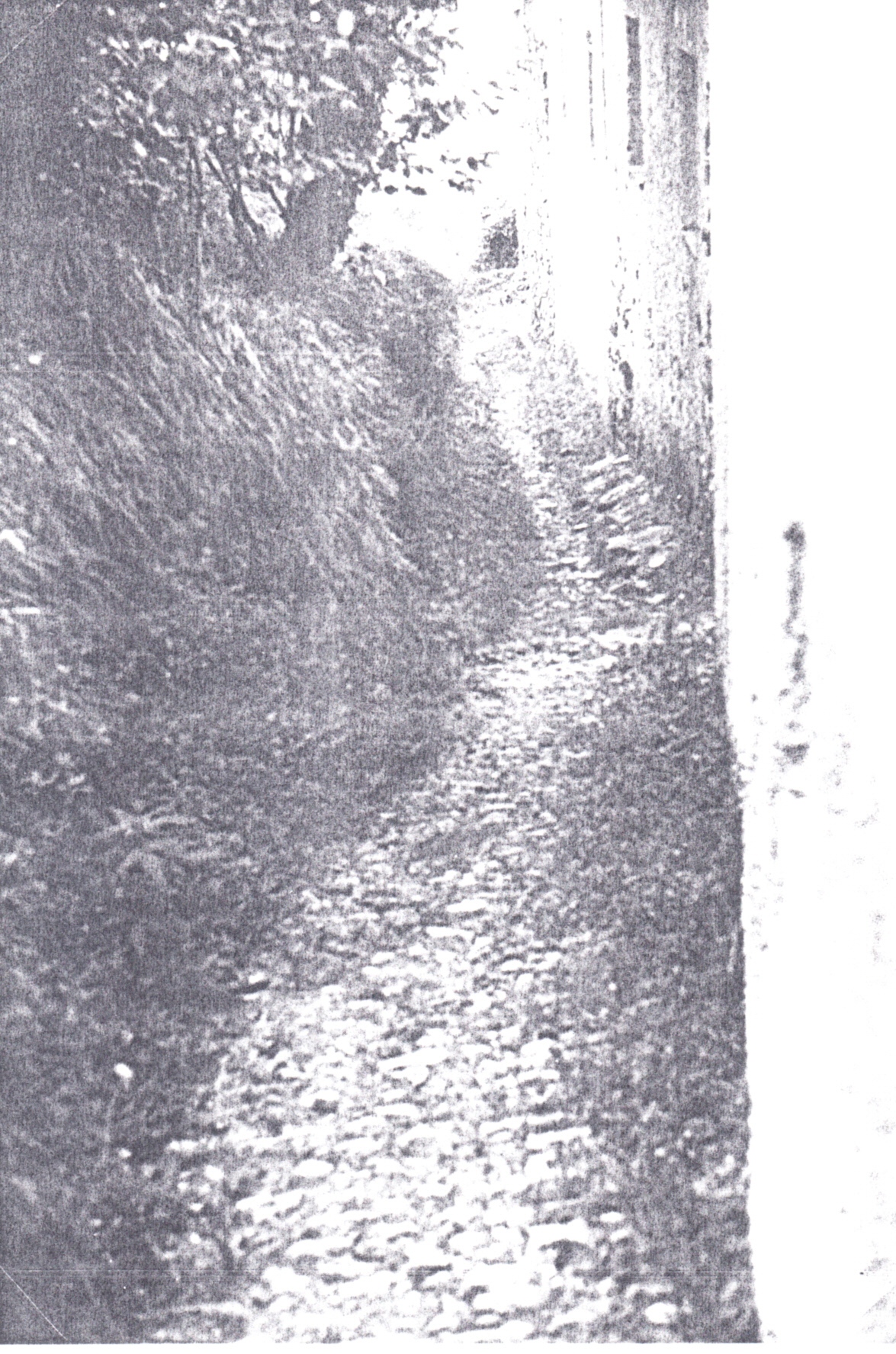 LUMARZO