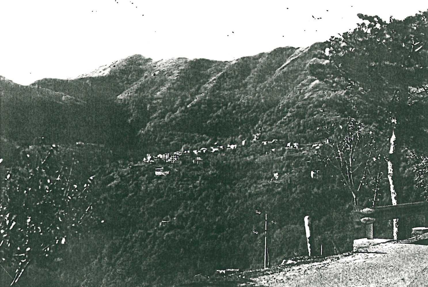 PANNESI
