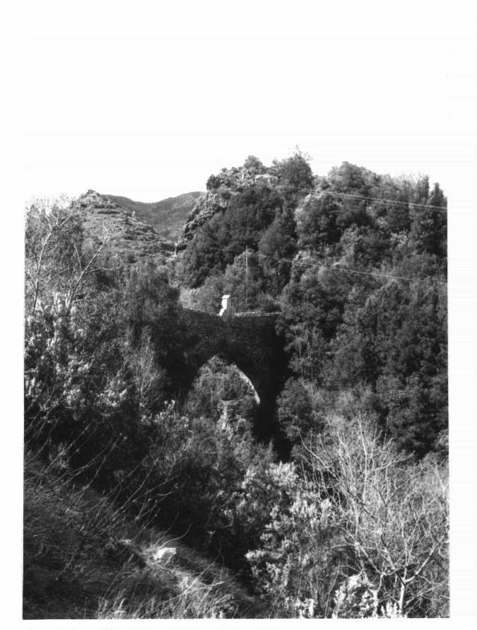Ponte tra Nascio e Cassagna