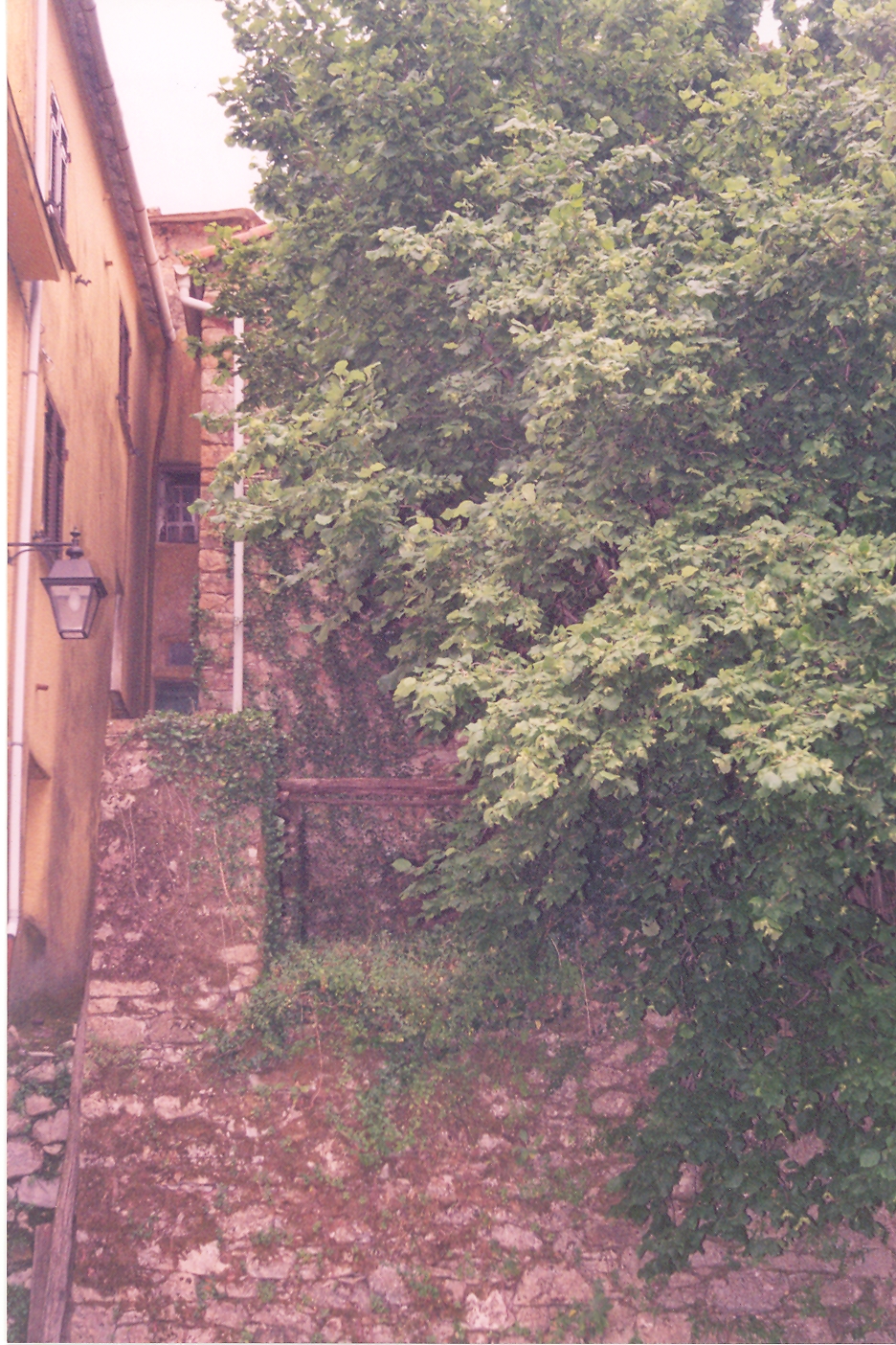 torre