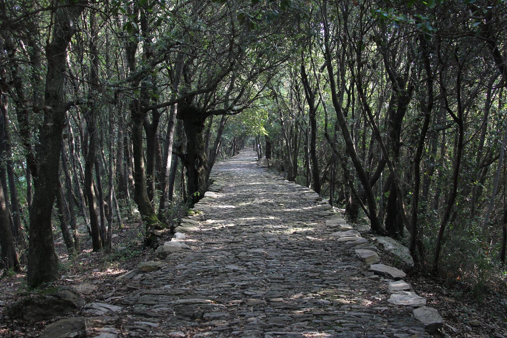 Salita al Santuario di Montallegro
