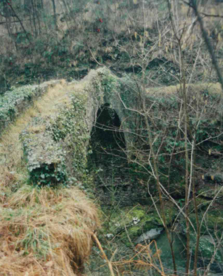 Ponte di Celesia