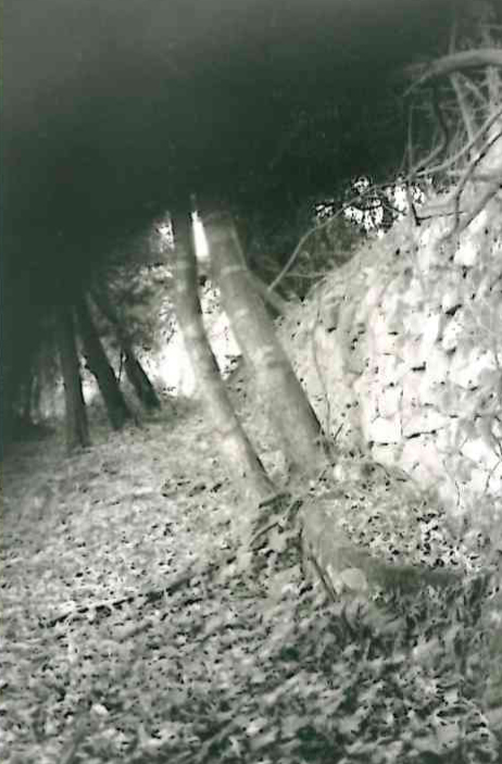 Rustico di proprietà Assereto