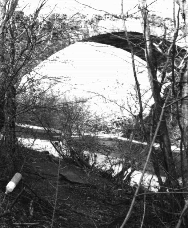Ponte sul torrente