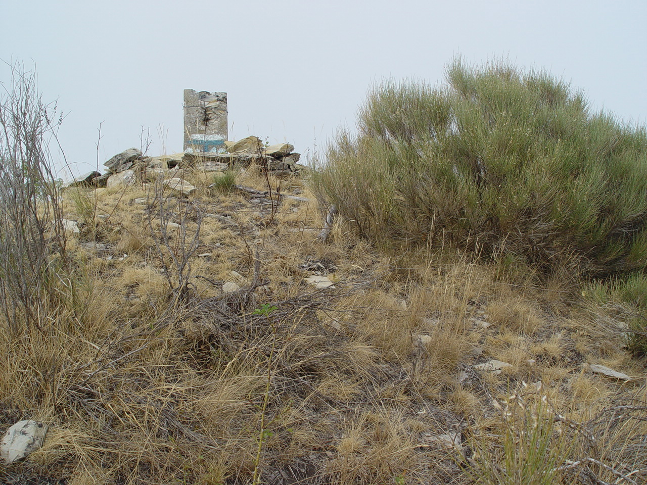 Monte Alto