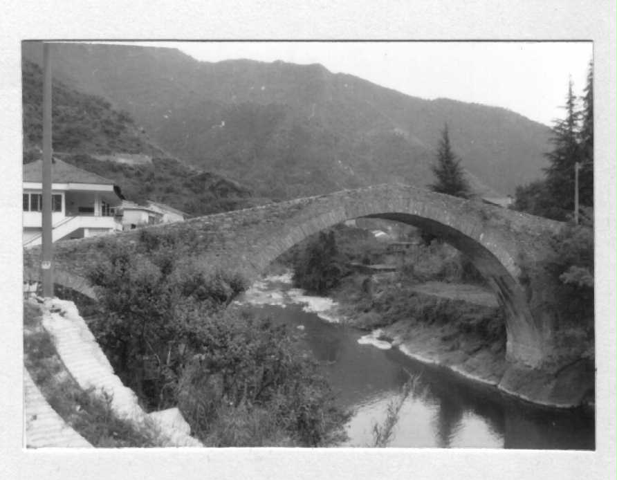 Ponte della Madonna degli Angeli o della Goretta