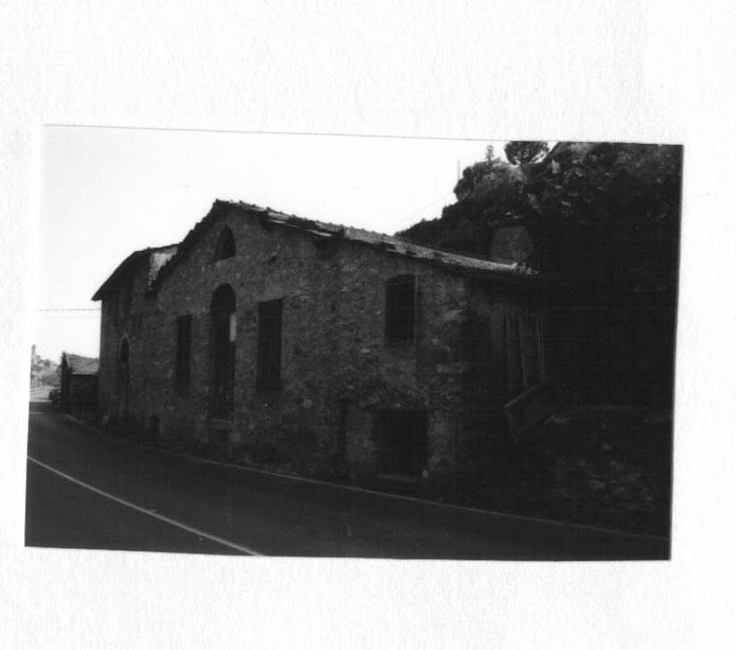 Frantoio
