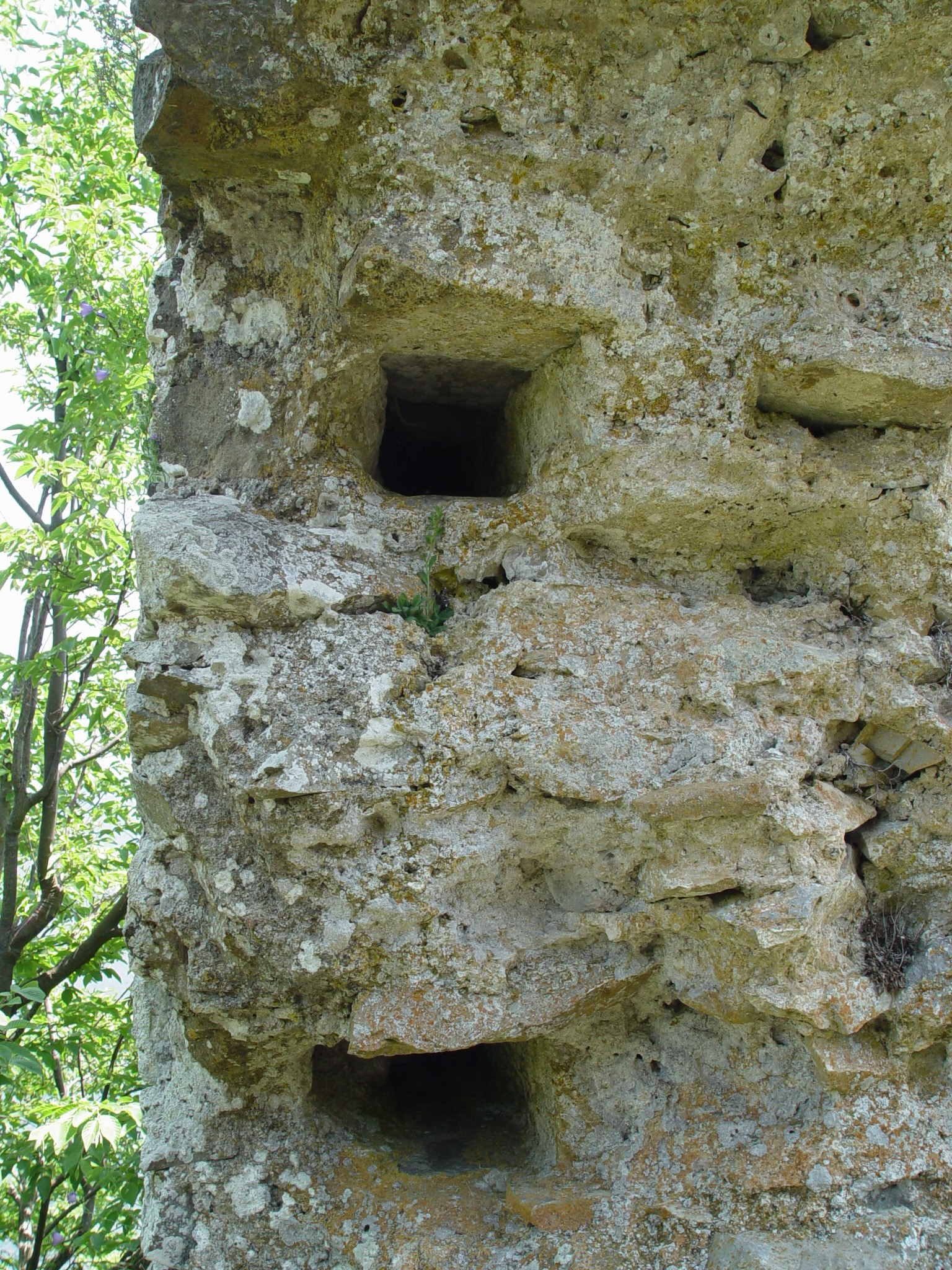 Monte Abellio