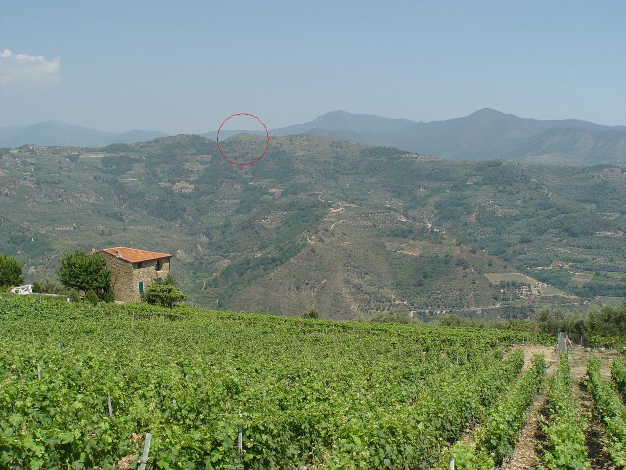 TORRE ALPICELLA