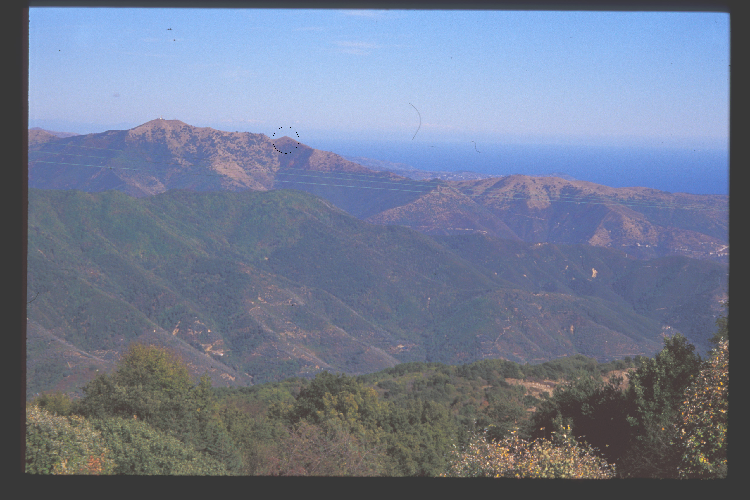 Monte Follia