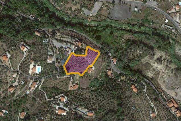 IMPIANTO RUSTICO DI PIANI DI IMPERIA