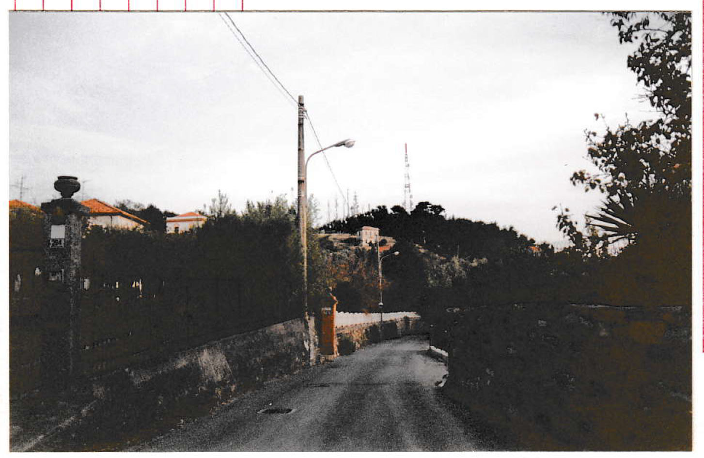 Pineta del Rosso