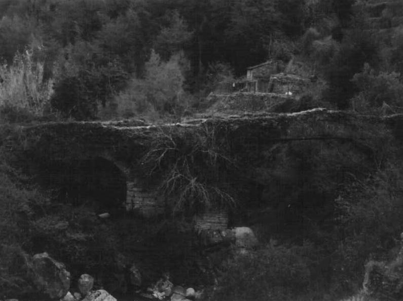 Ponte sul Rio Carne