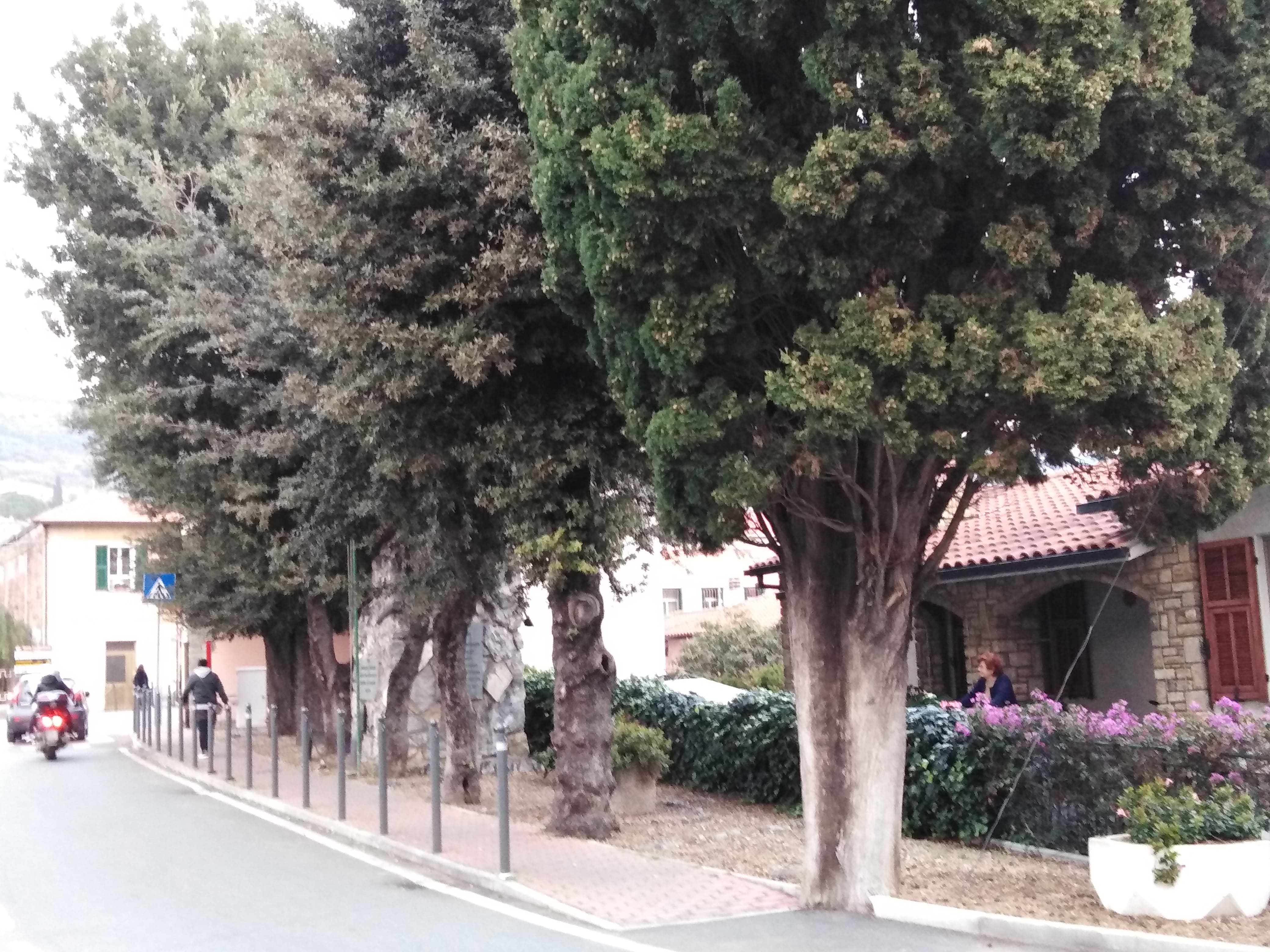 Parco della Rimembranza di Pompeiana