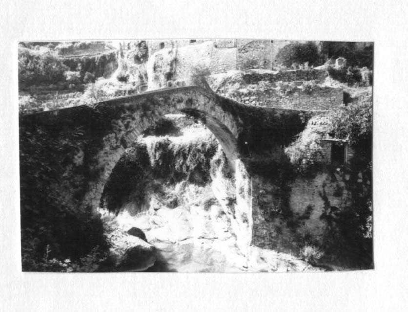 Ponte sul Nervia