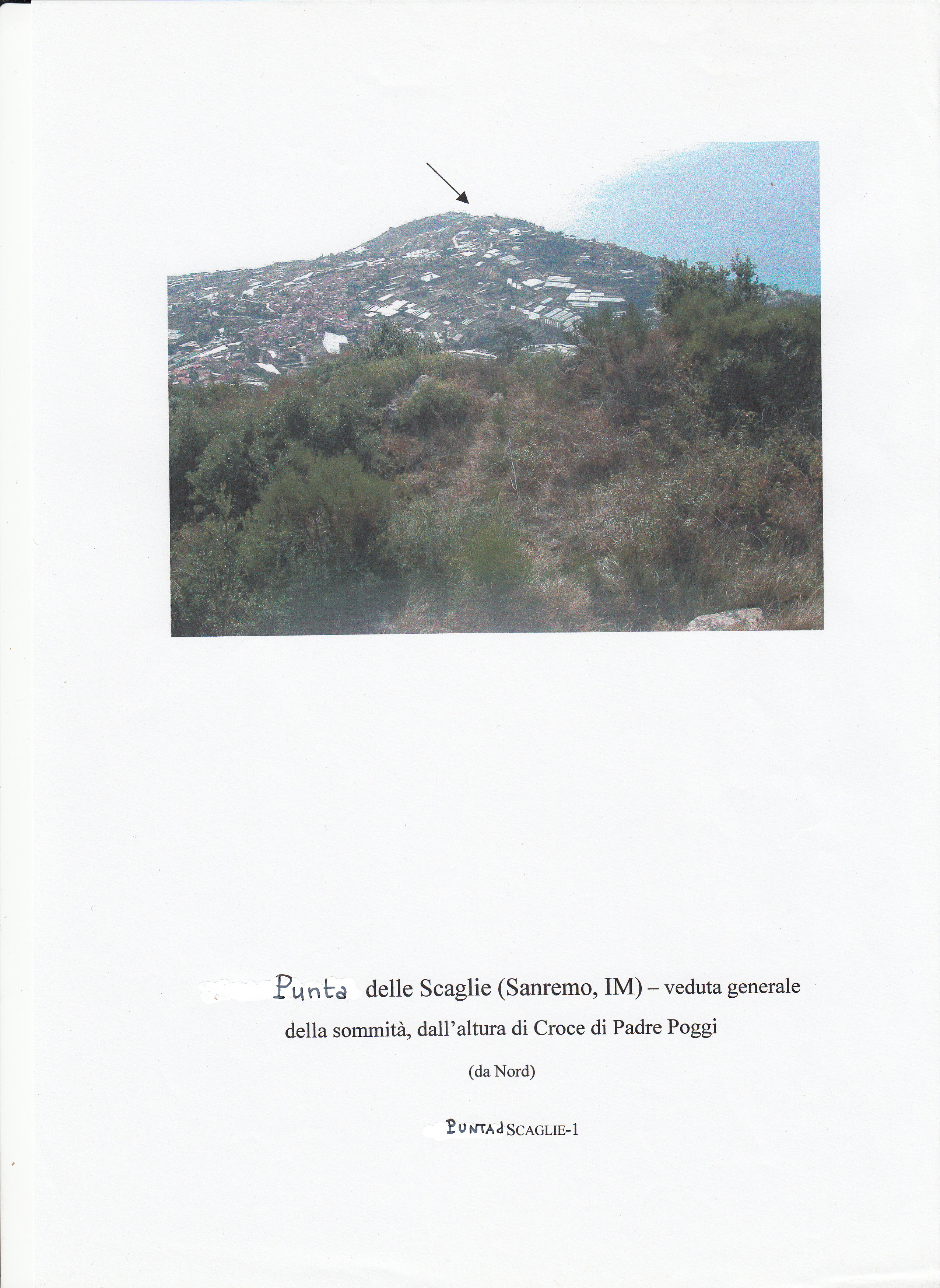 MONTE MUCCHIO DELLE SCAGLIE/COLDIRODI
