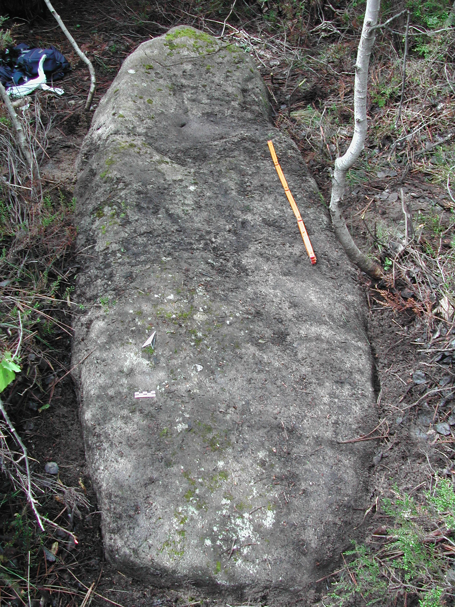 Menhir di Costa Bevino