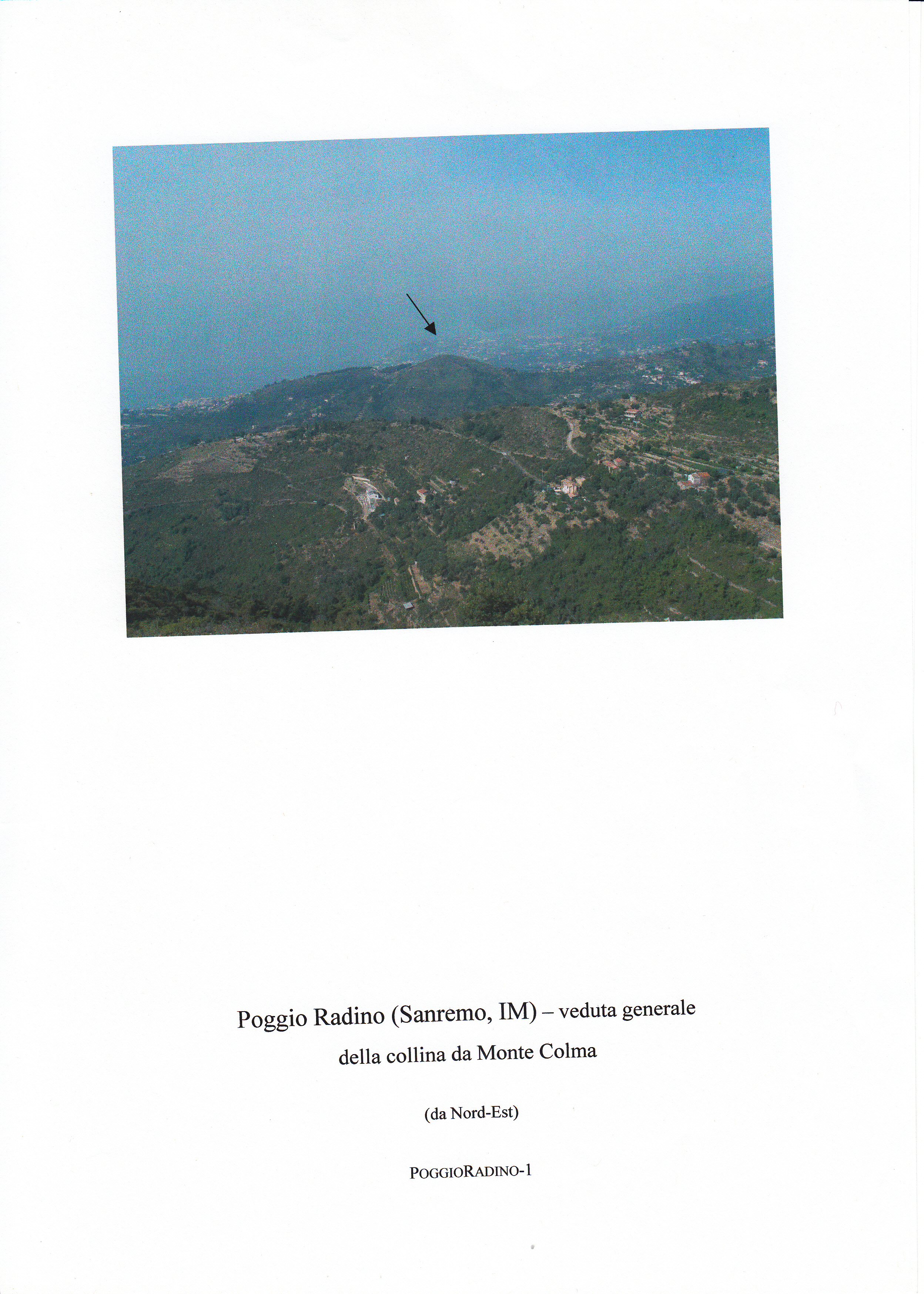 POGGIO RADINO