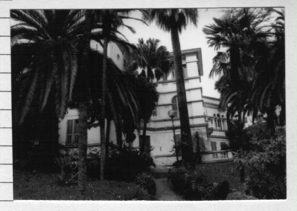 Villa Vigo