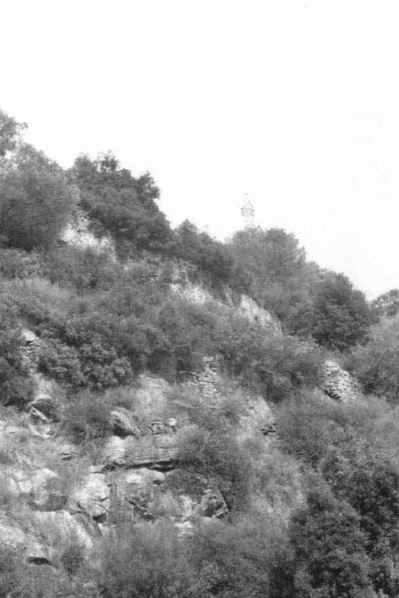 Campomarzio e Castel S. Giorgio