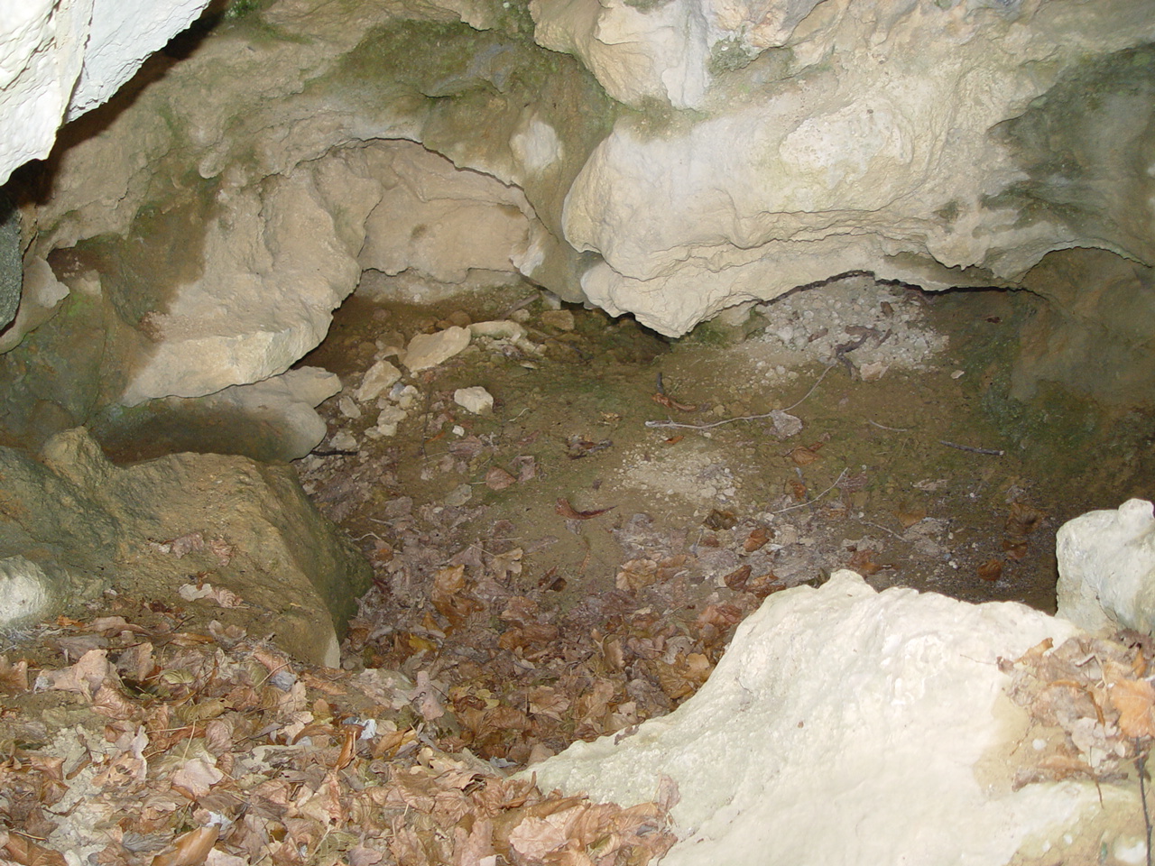 ARMA DELLA GRA' DI MARMO