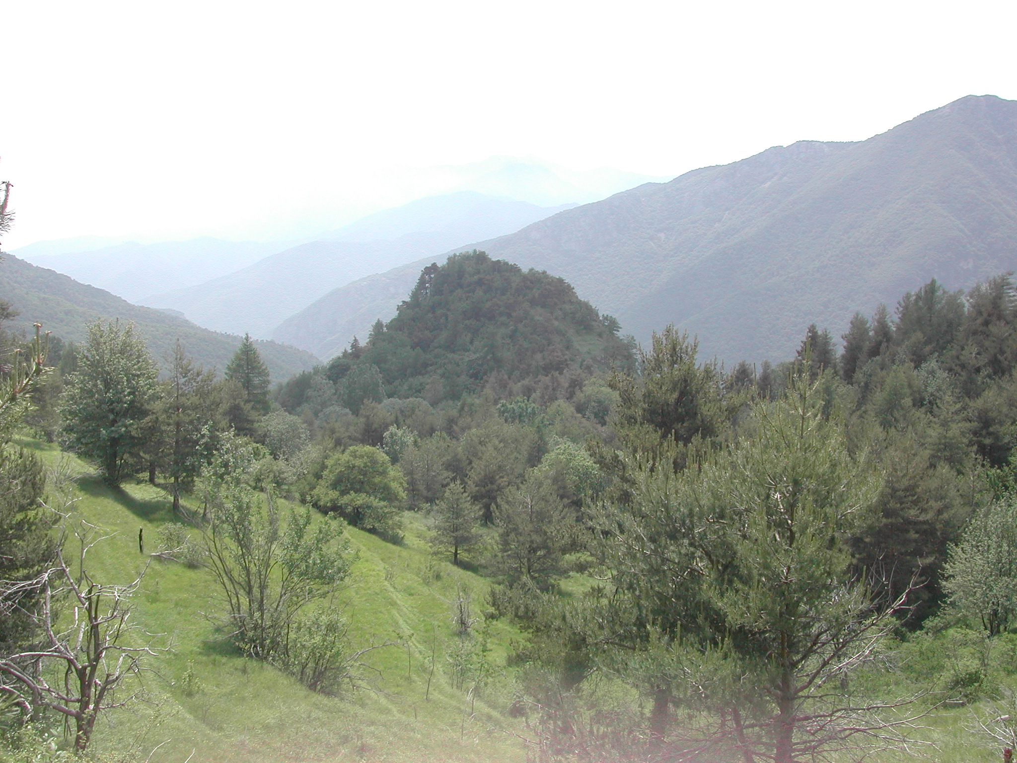 BRIC CASTELLACCIO
