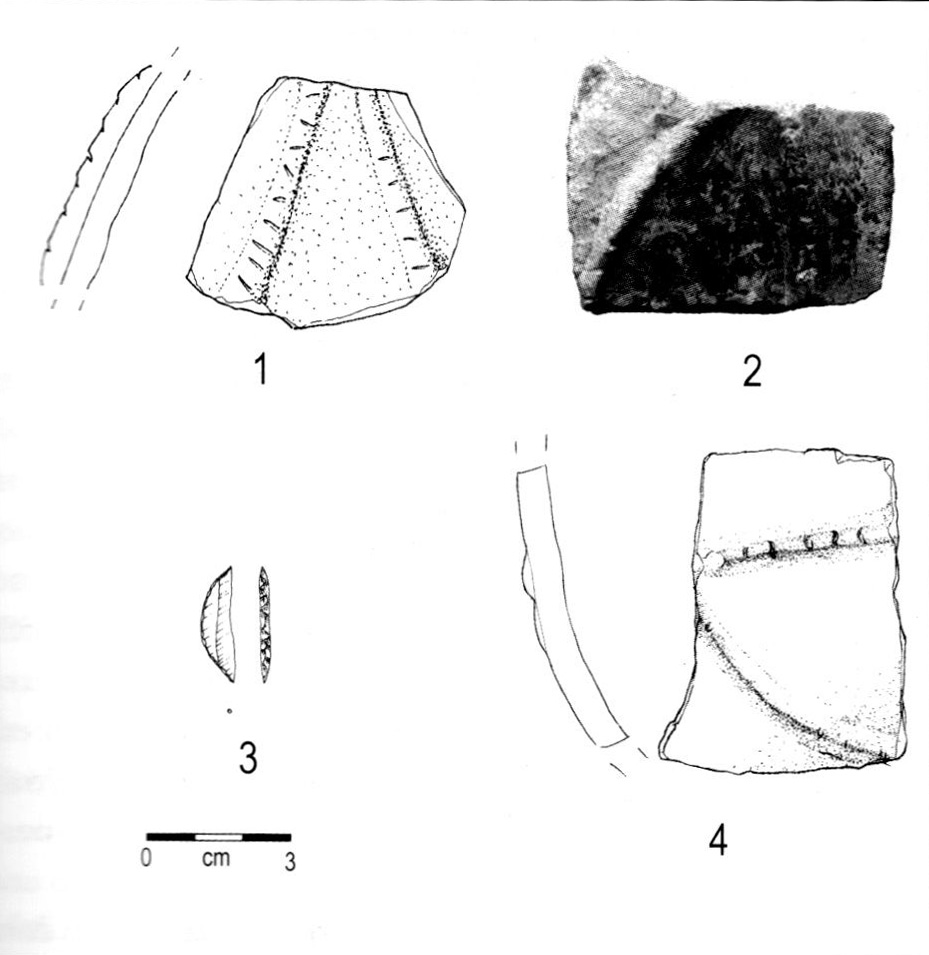 RIPARO DI CREPPO