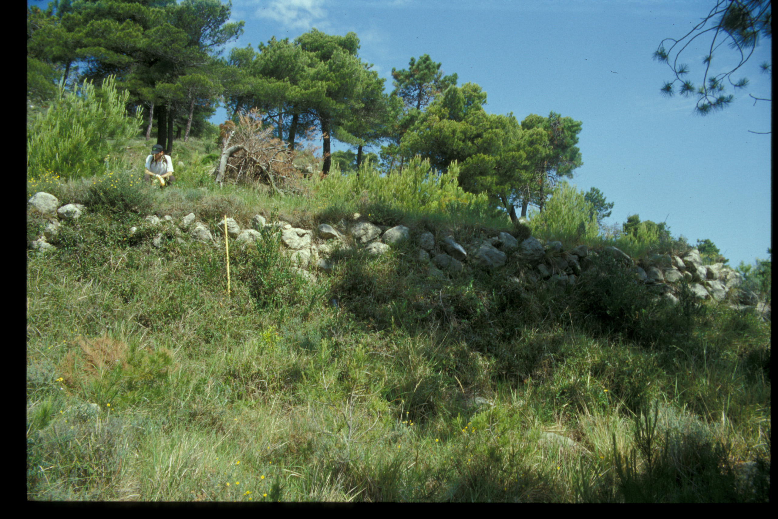 Monte Bellenda