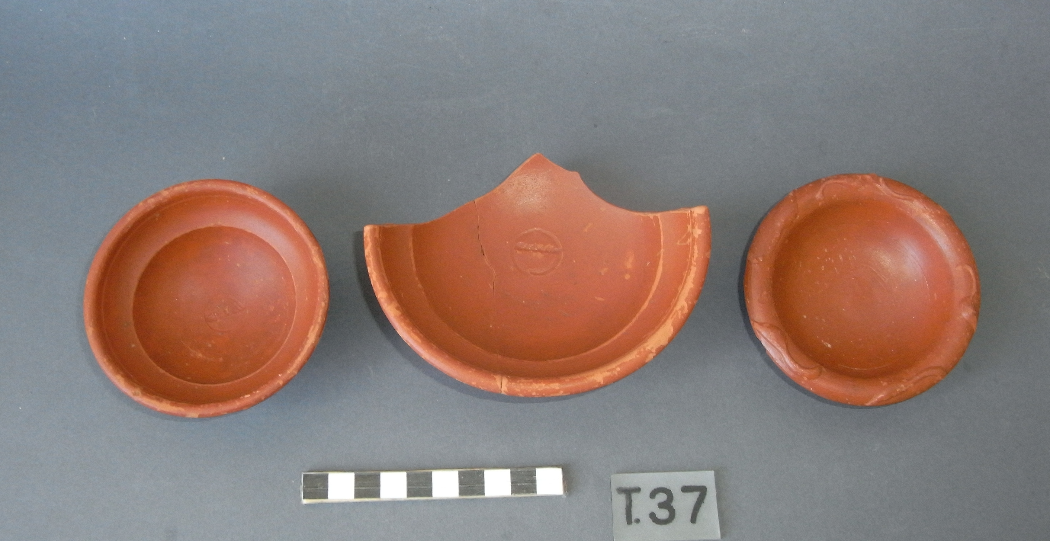 Necropoli di Albintimilium, area esterna recinti A-B-C, tomba 37