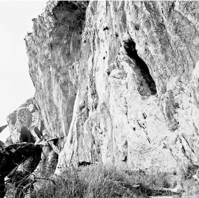 RIPARO BLANC-CARDINI