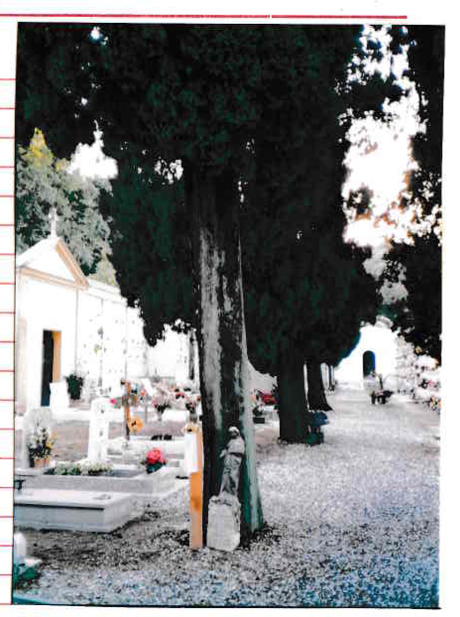 Cimitero di Trebiano
