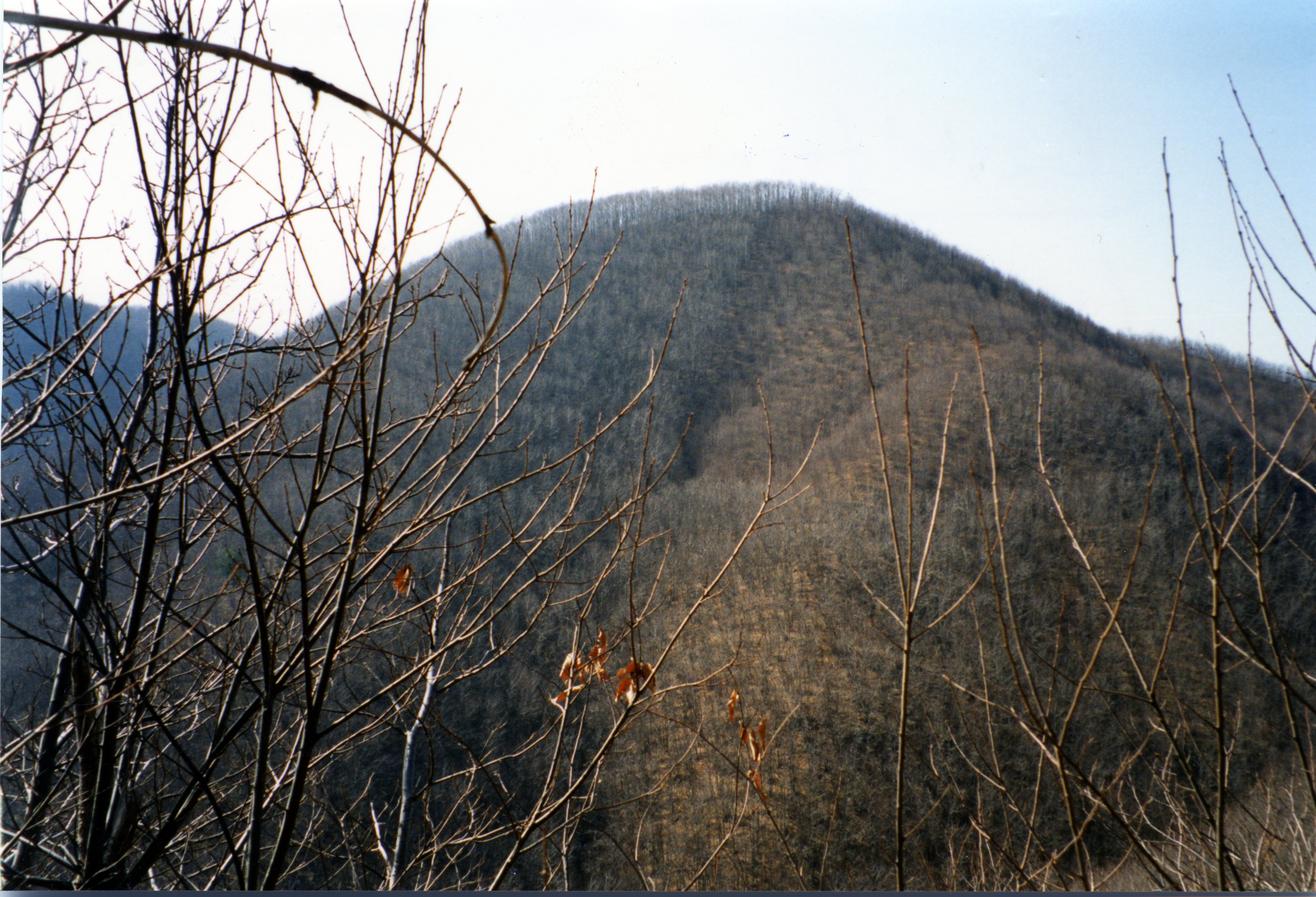 Castellaro di Castelfermo
