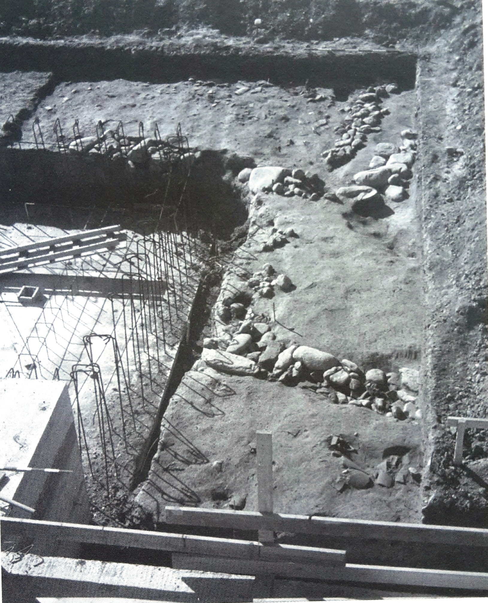 Fattoria centuriale di Foretto