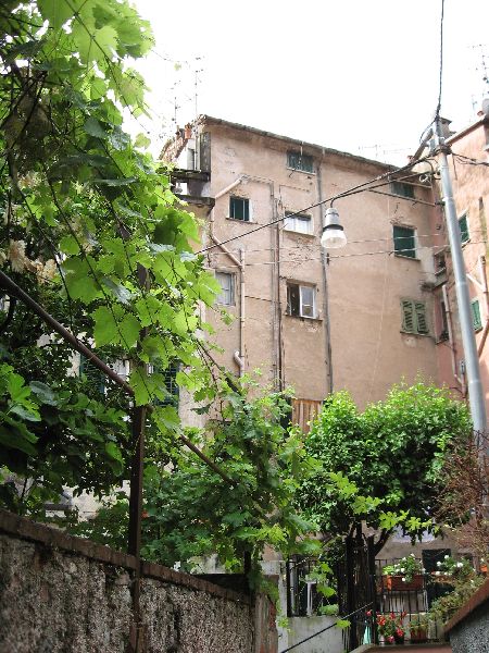 Ex Casa Canonica