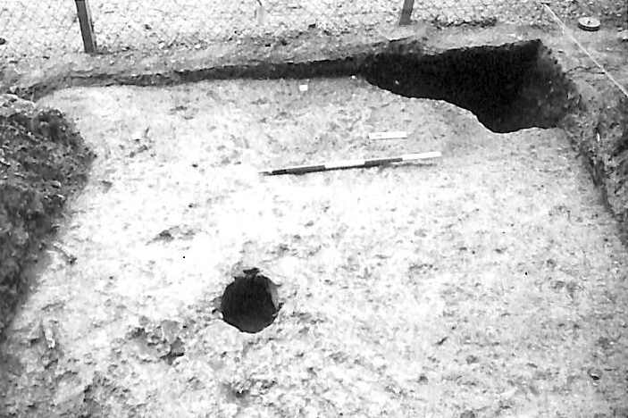 Insediamento protostorico di Monte delle Forche