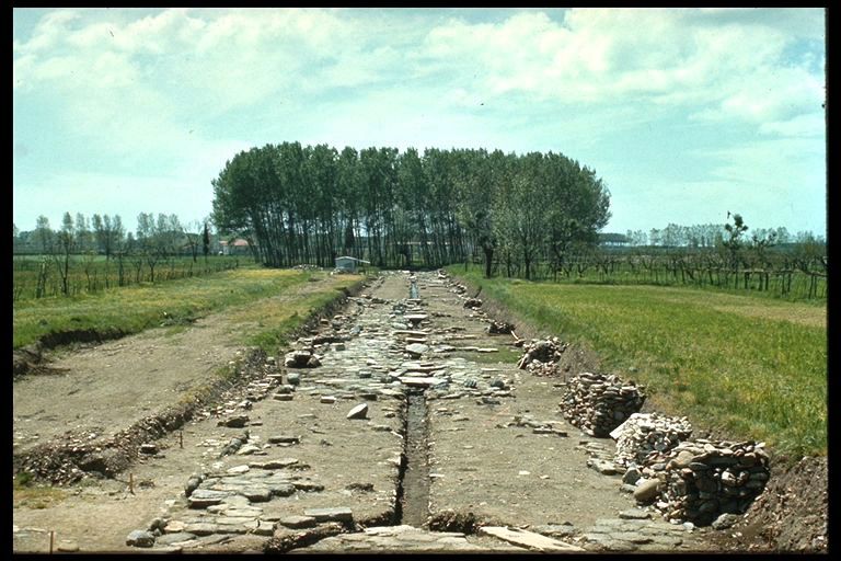 CARDO MAXIMUS di Luni