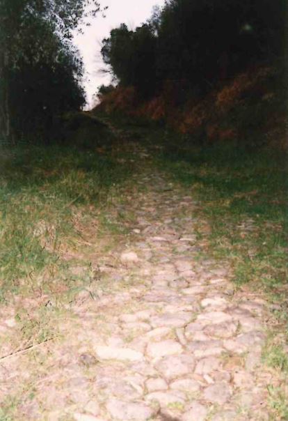 srada comunale della Montata