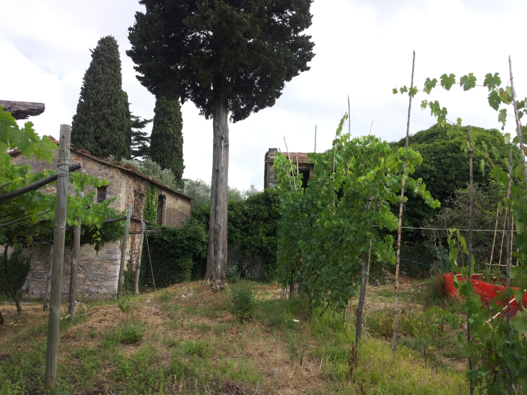 Complesso medievale di Fezzano
