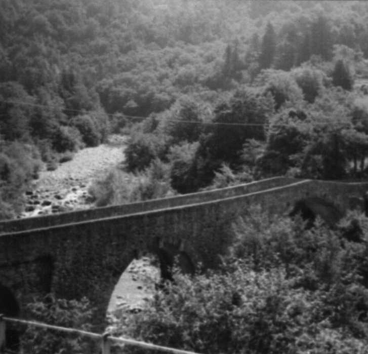 Ponte sulla Gottera