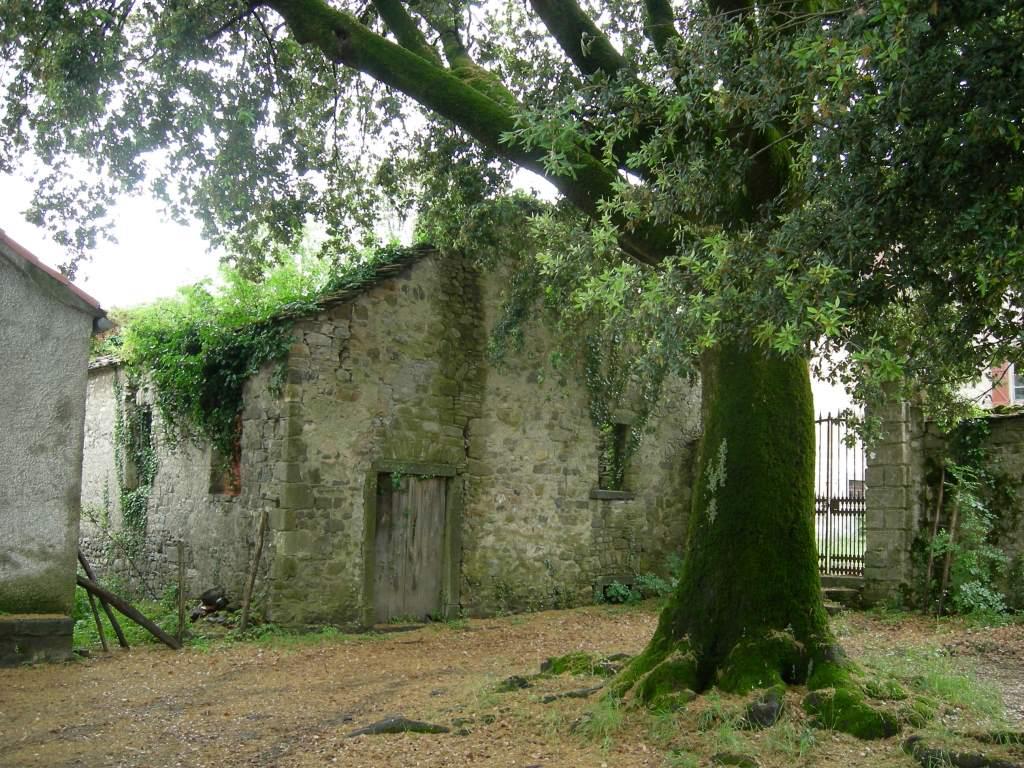 Edifici rurali Porciorasco
