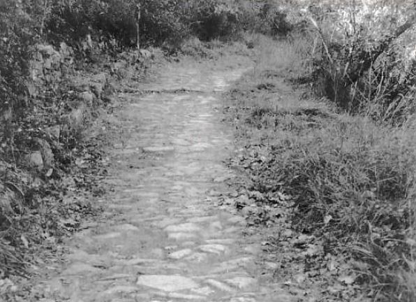 Via Julia Augusta