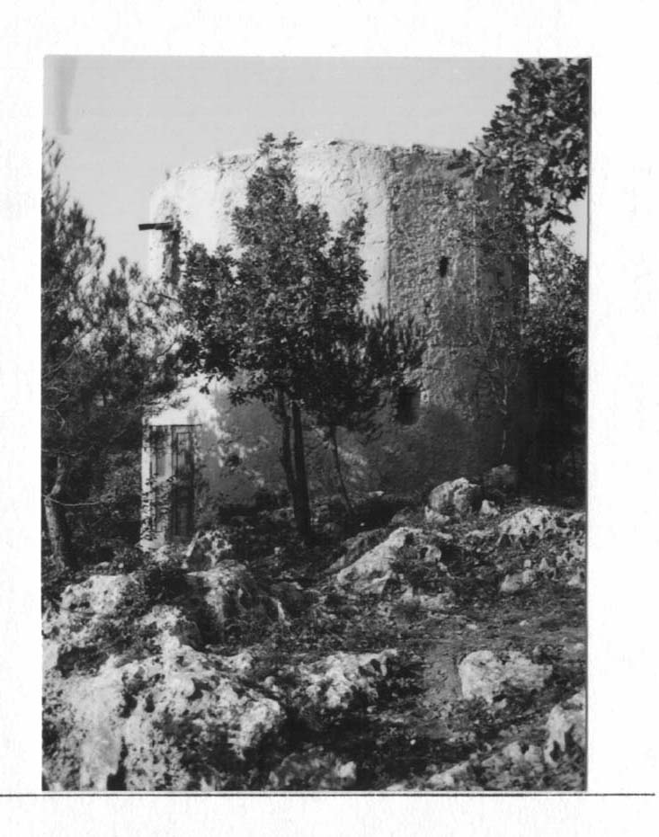 Mulino fenicio