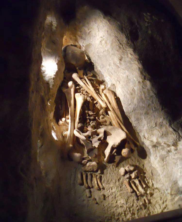 ARMA DELL'AQUILA