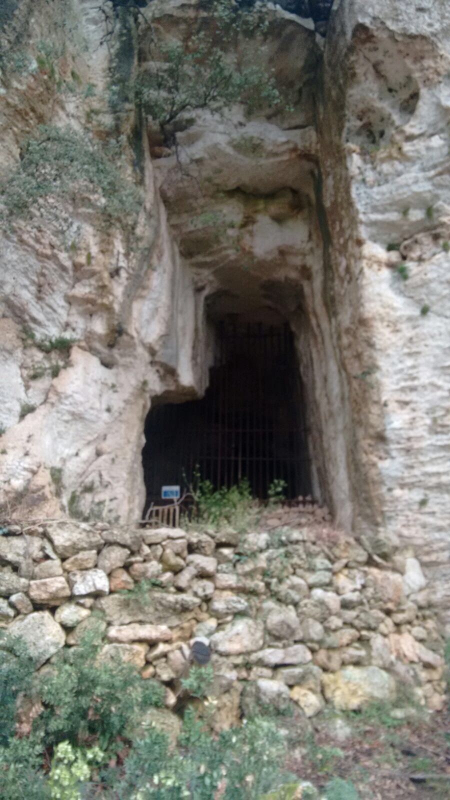 Arma degli Zerbi