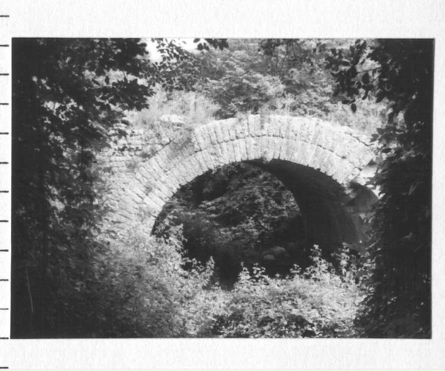 Ponte delle Voze