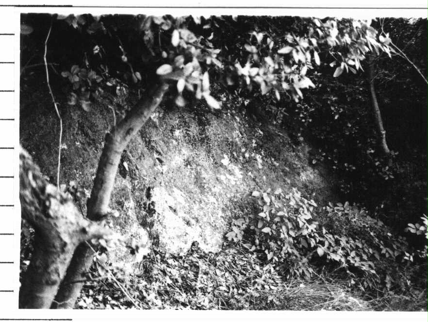 Sasso di Dante