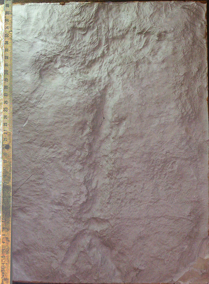 CIOPPI DE CIUNCHE