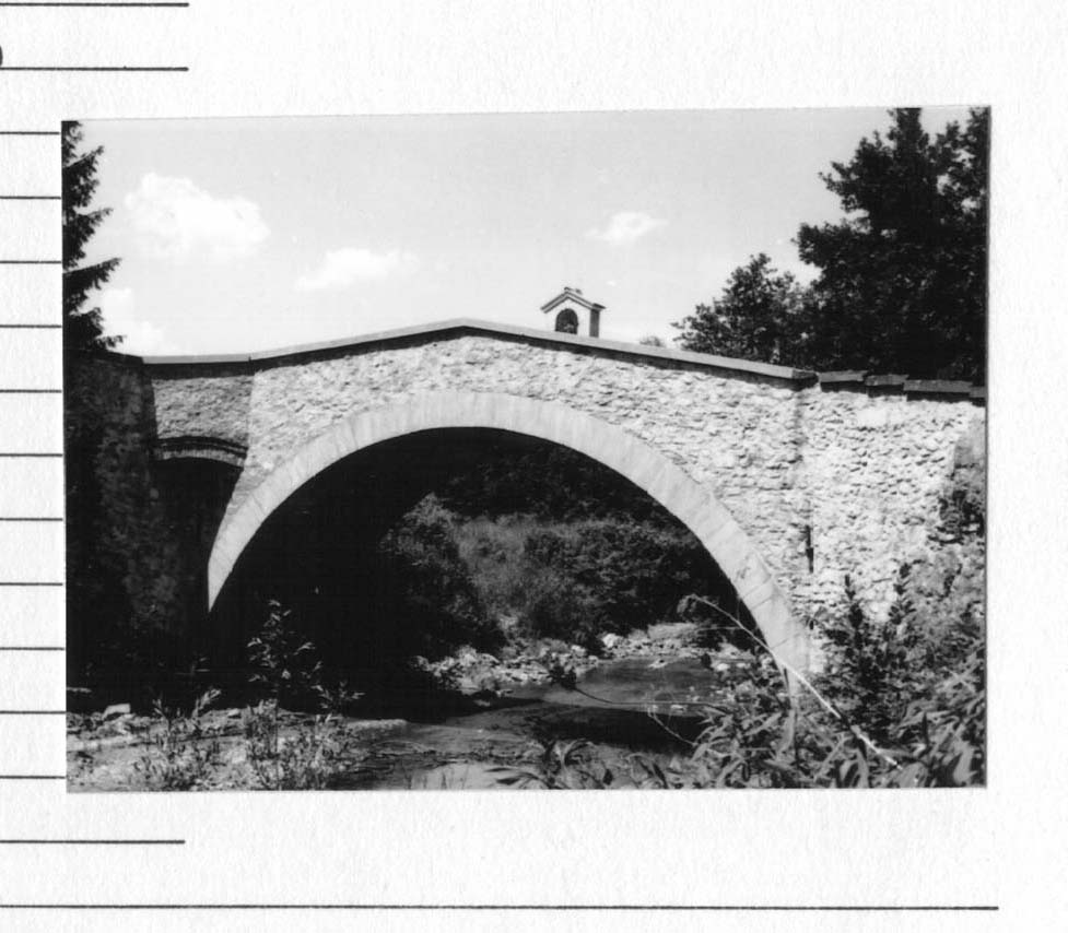 Ponte sul Rio Foresto